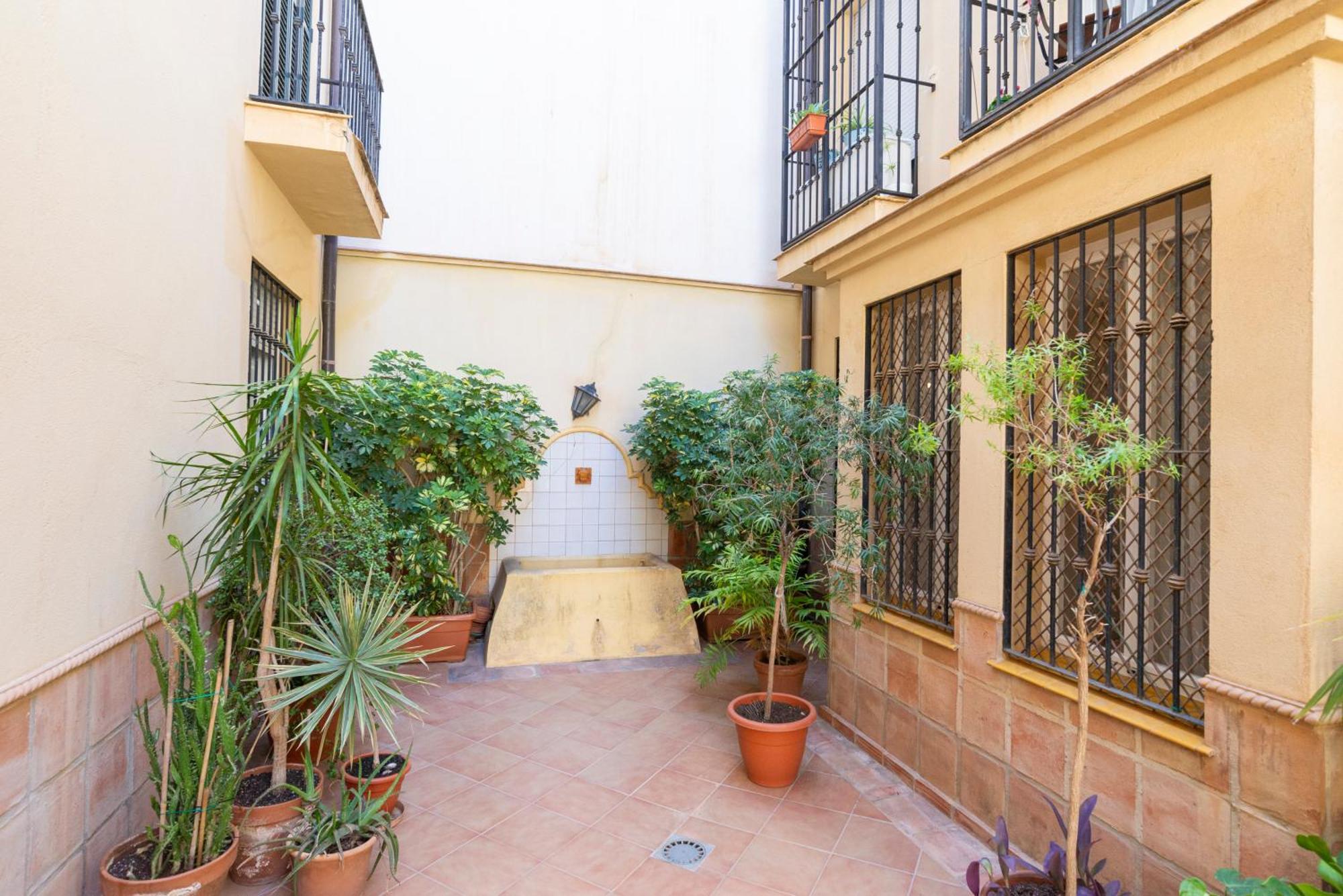 & Pool In Center Málaga