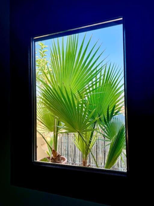 Apartment Loft Haven Malaga