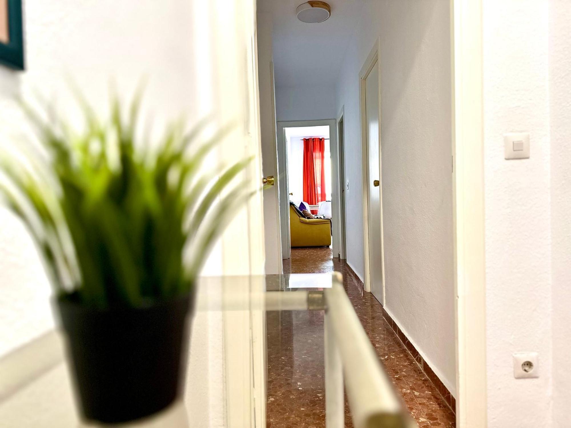 Apartamento Apartamento - El Ejido Málaga