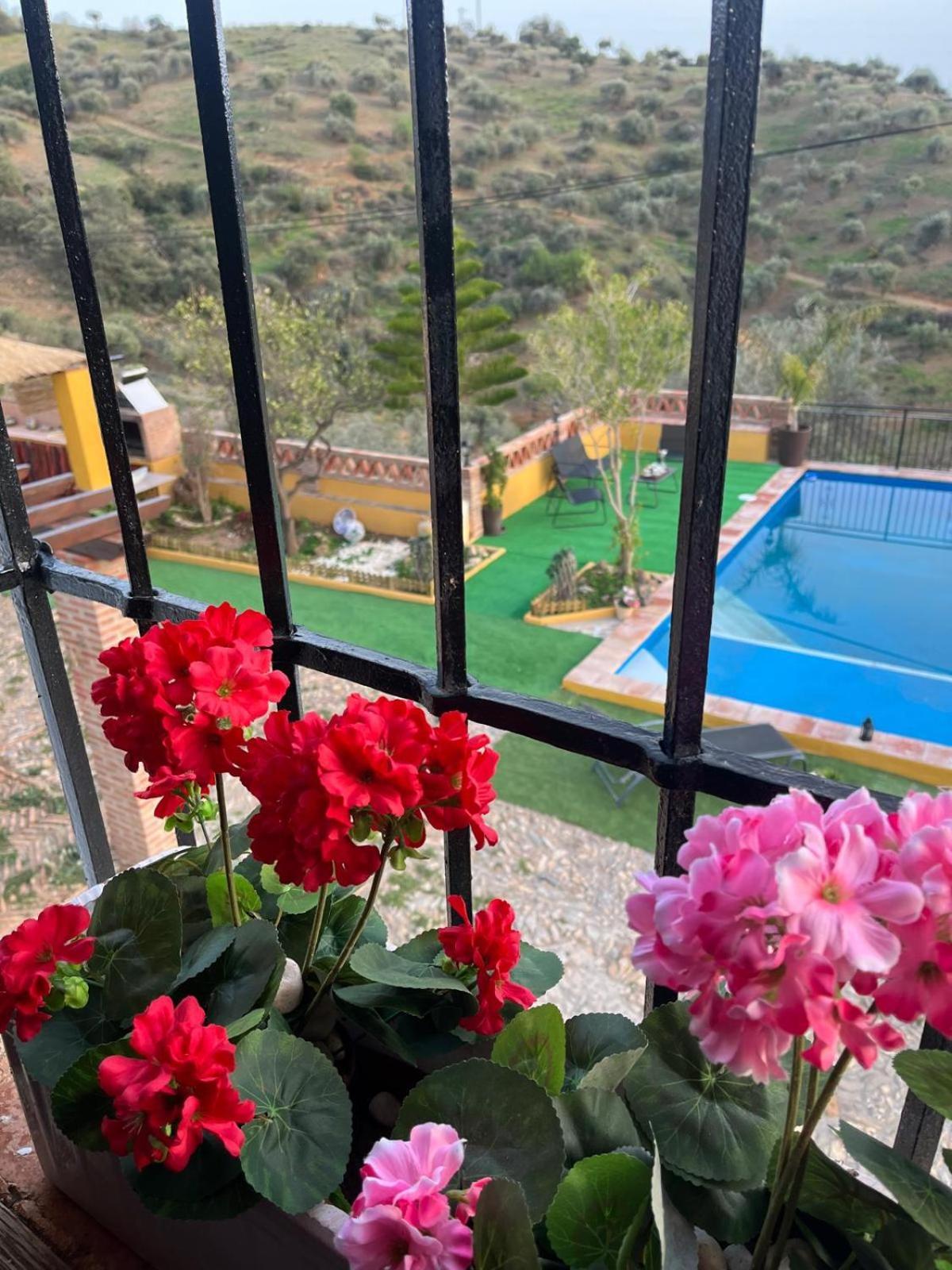 Cortijo Rural Lagar Grande Málaga