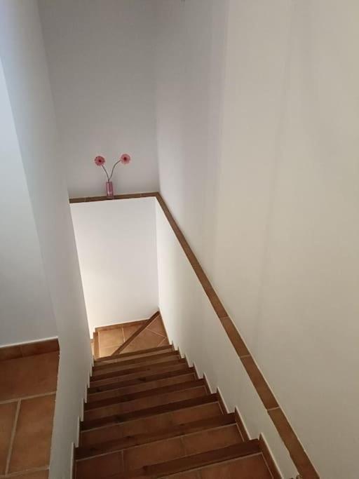 Petra Сasa de vacaciones