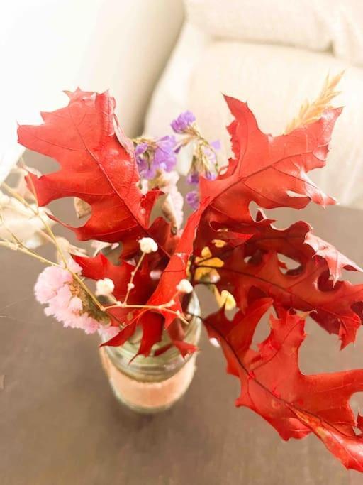 Corazon Centro Historico Homestay Malaga