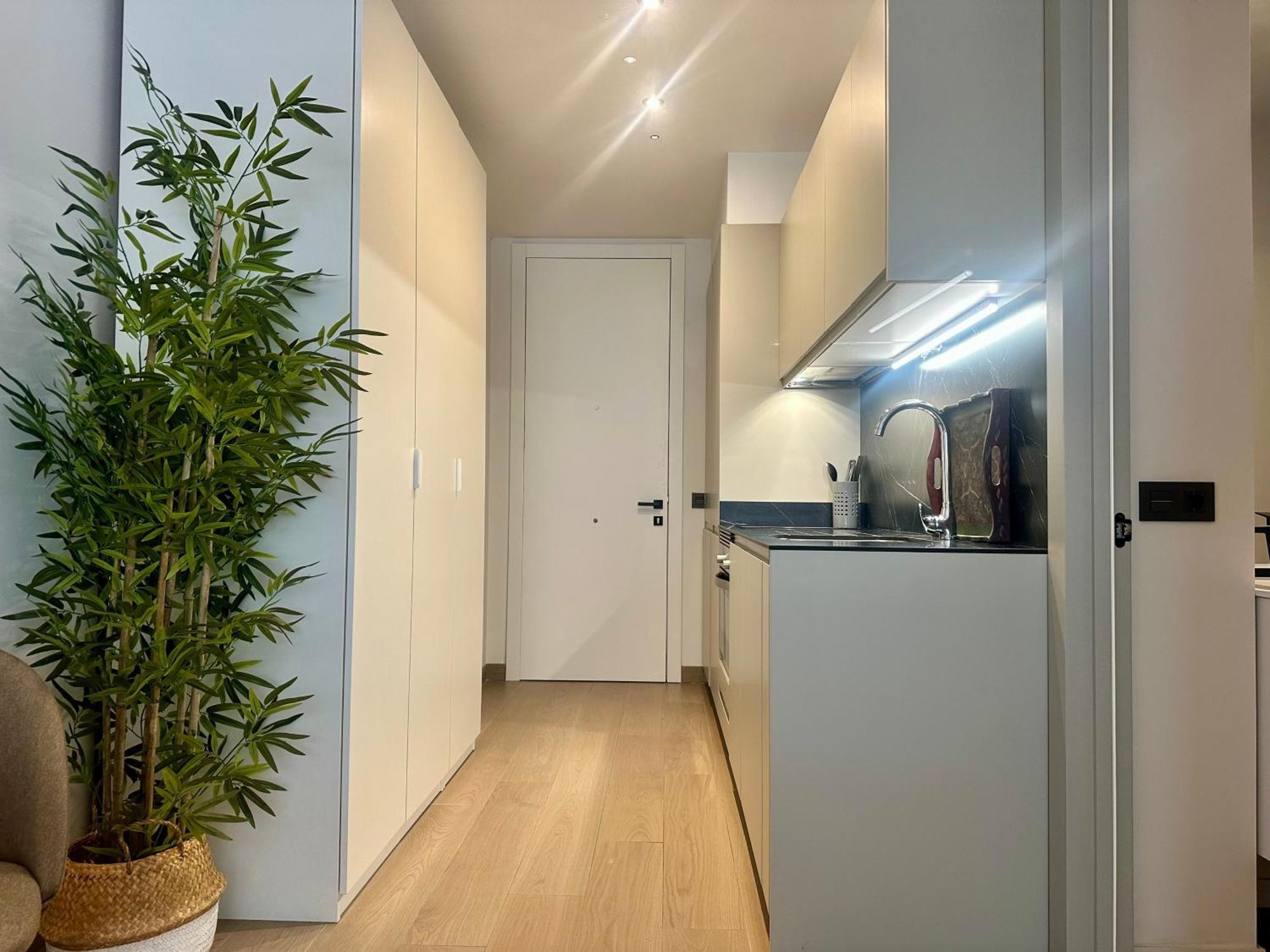 Muy Centrico E Ideal Para Parejas O Teletrabajo Apartamento *