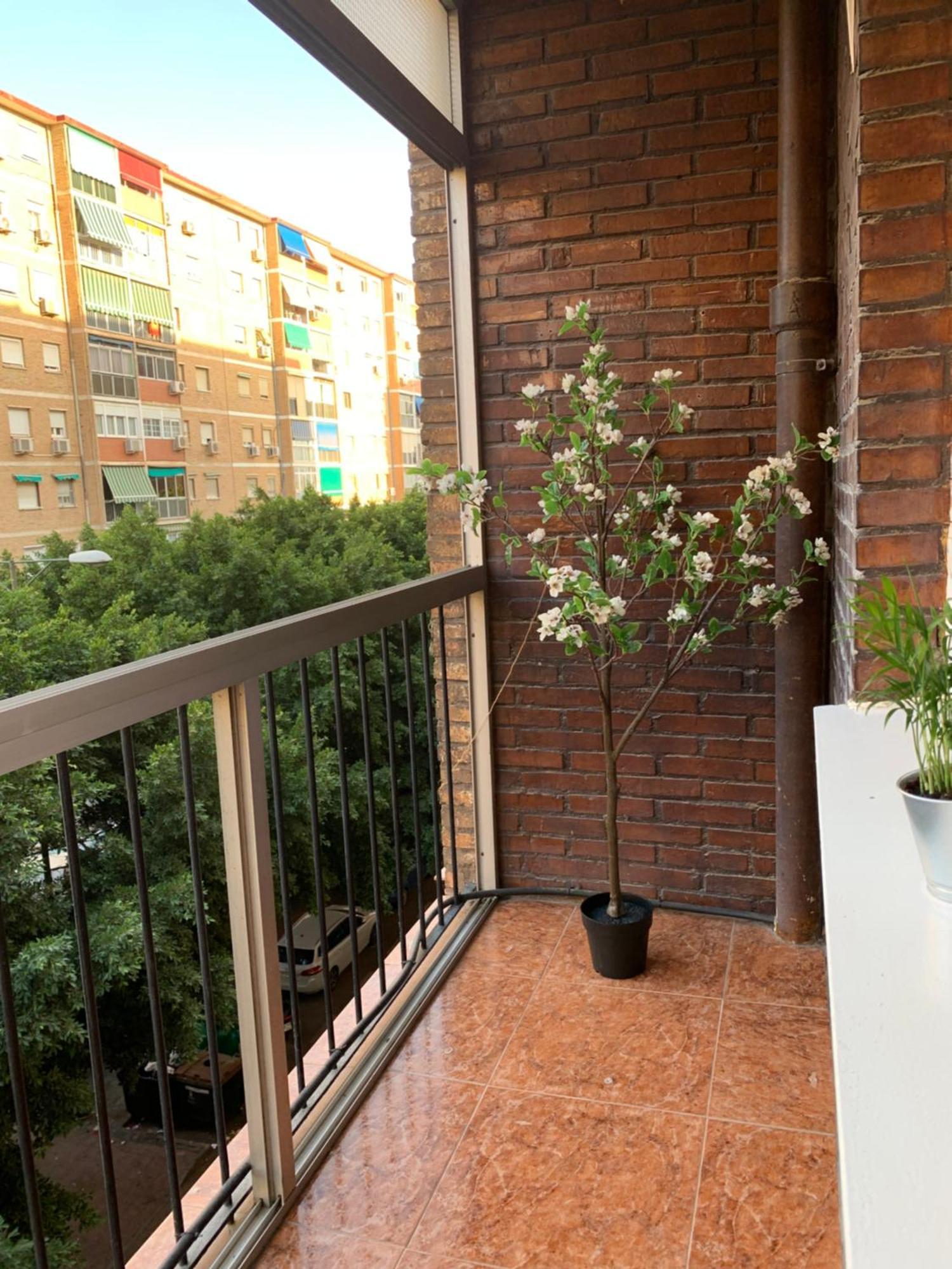Bueno, Bonito Y Barato Apartamento Málaga