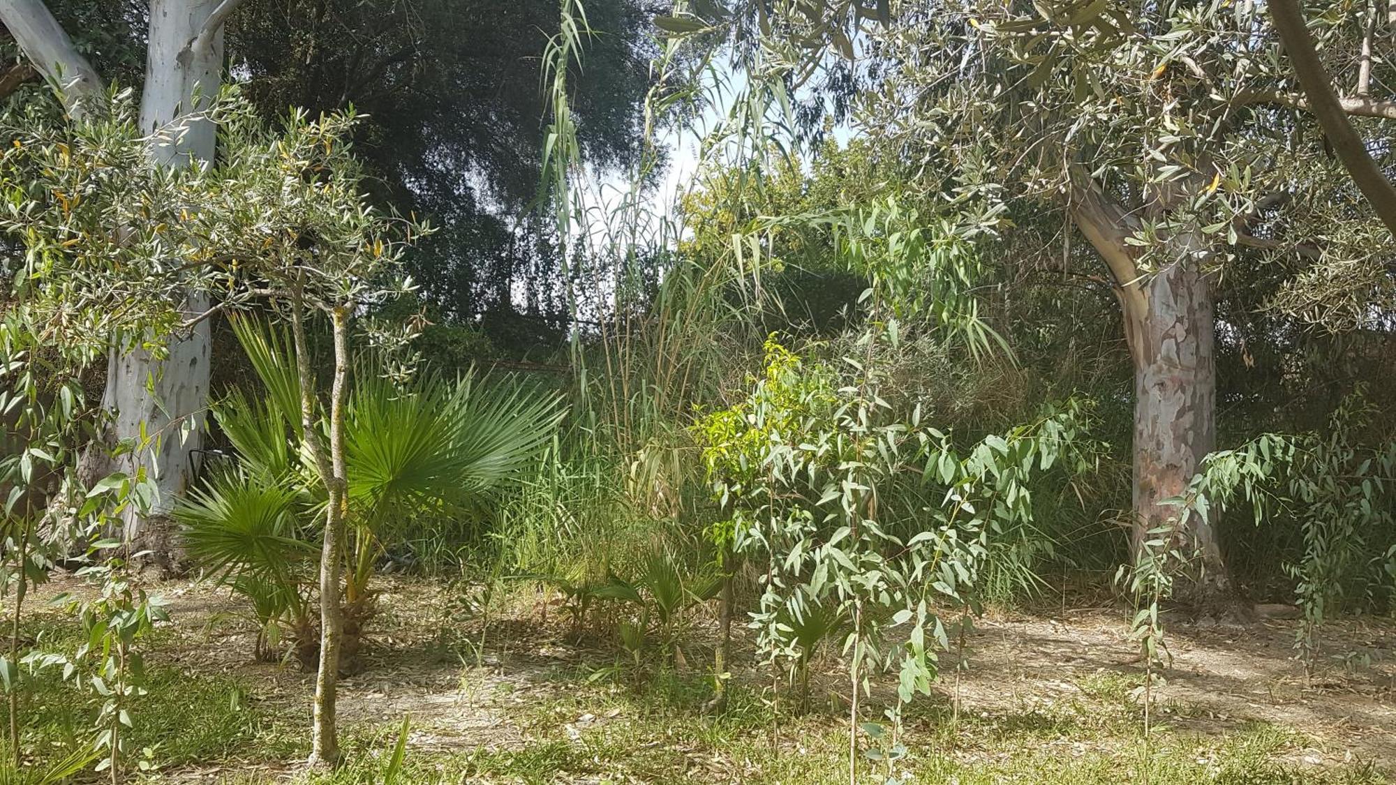 La Ermita Сasa de vacaciones *