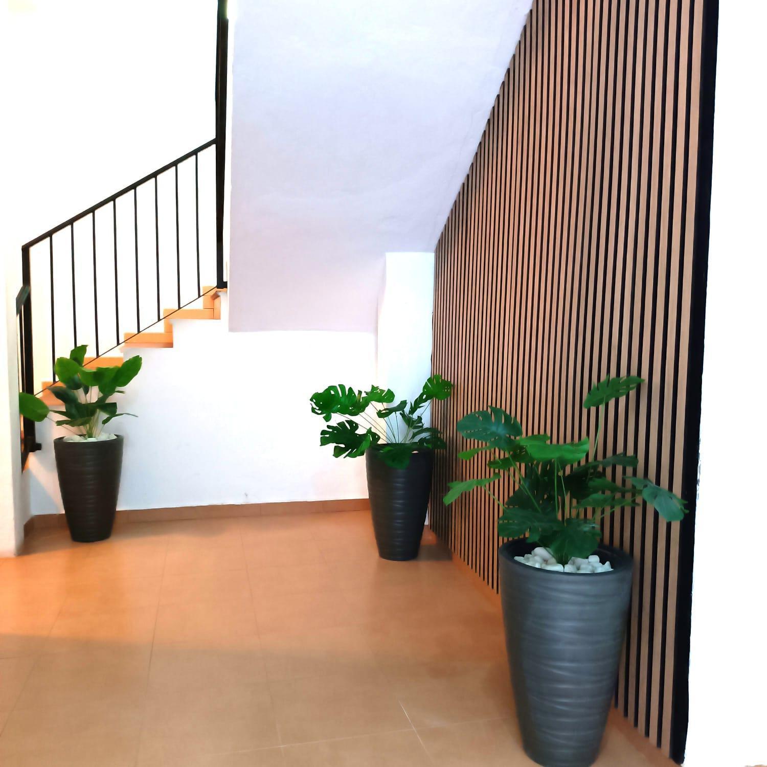 Apartment Calle Nueva Malaga
