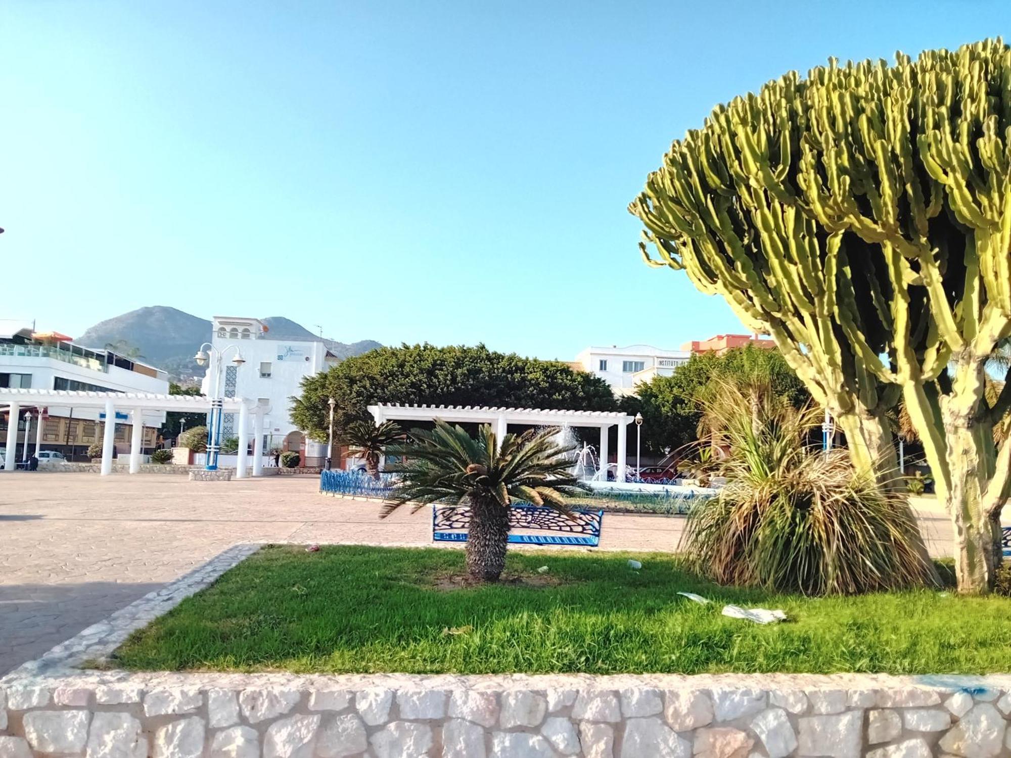 Apartamento El Olivo