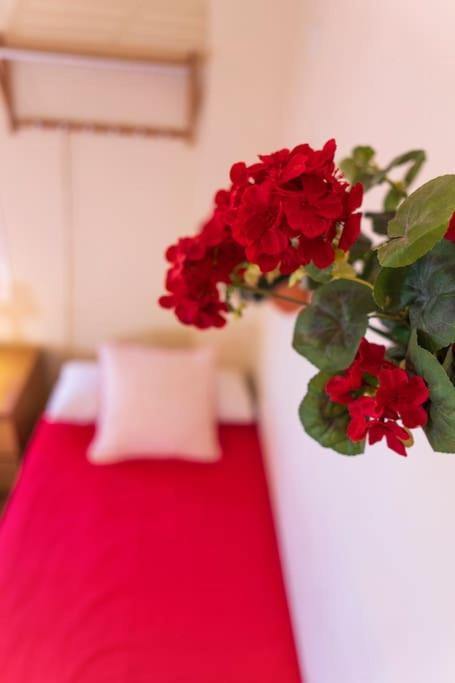 Apartamento 3 Bedrooms Center And Málaga