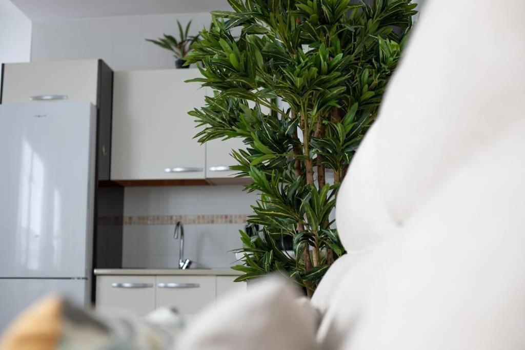 Apartamento Trinidad Aparment Málaga