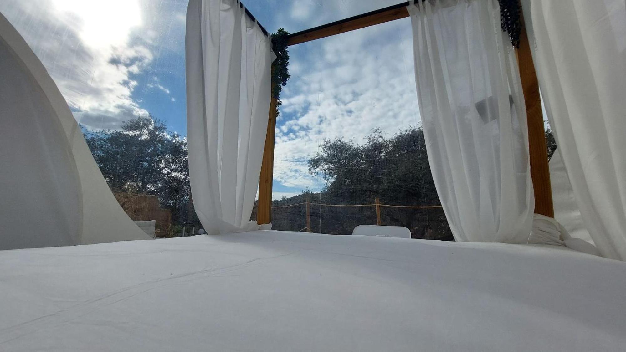 Campo de lujo Glamping Burbuja Almendros