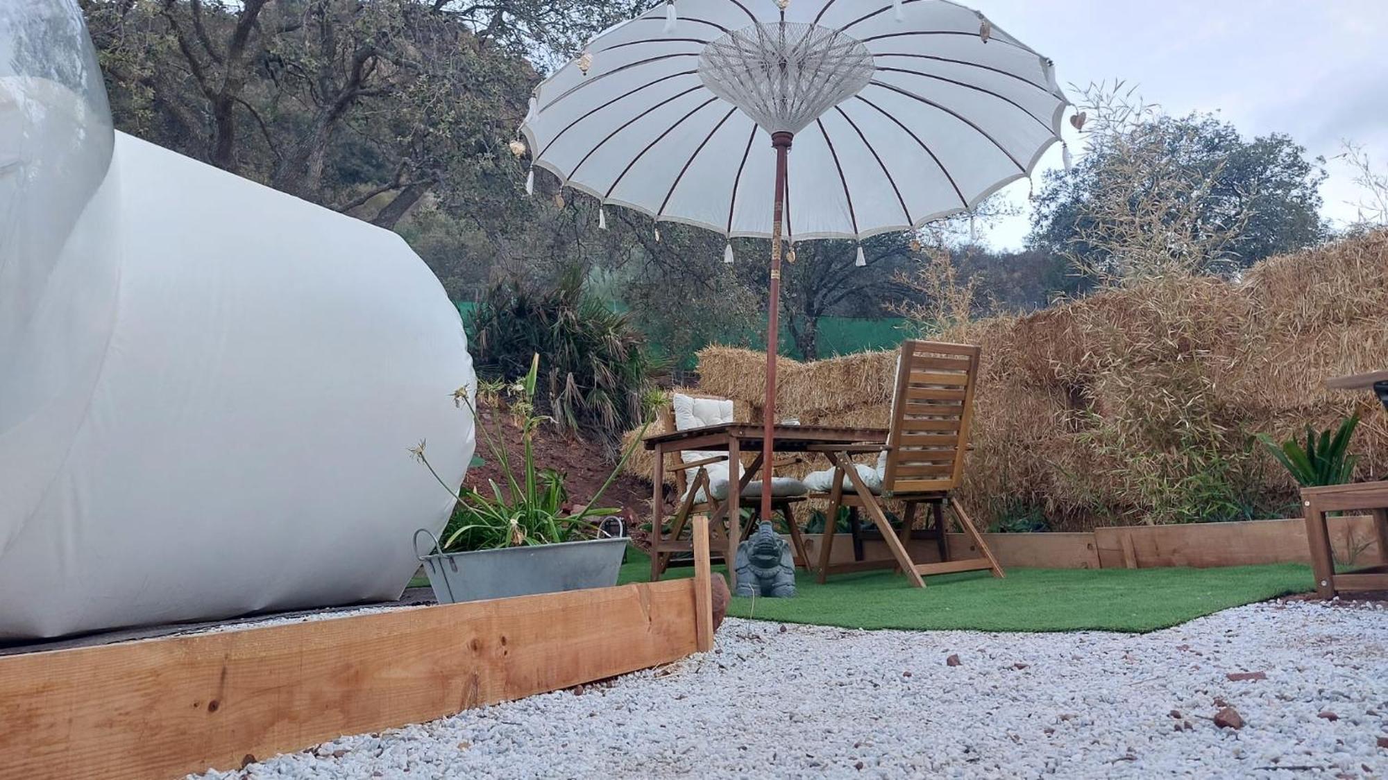 Campo de lujo Glamping Burbuja Almendros *