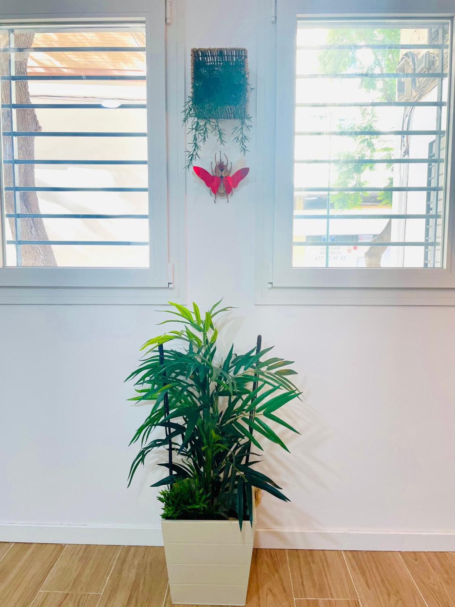 Completo Y En Apartamento Málaga