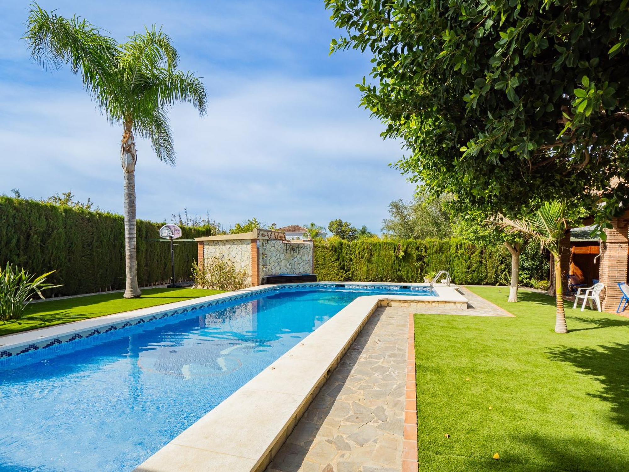 Paraiso Malvinas * Málaga