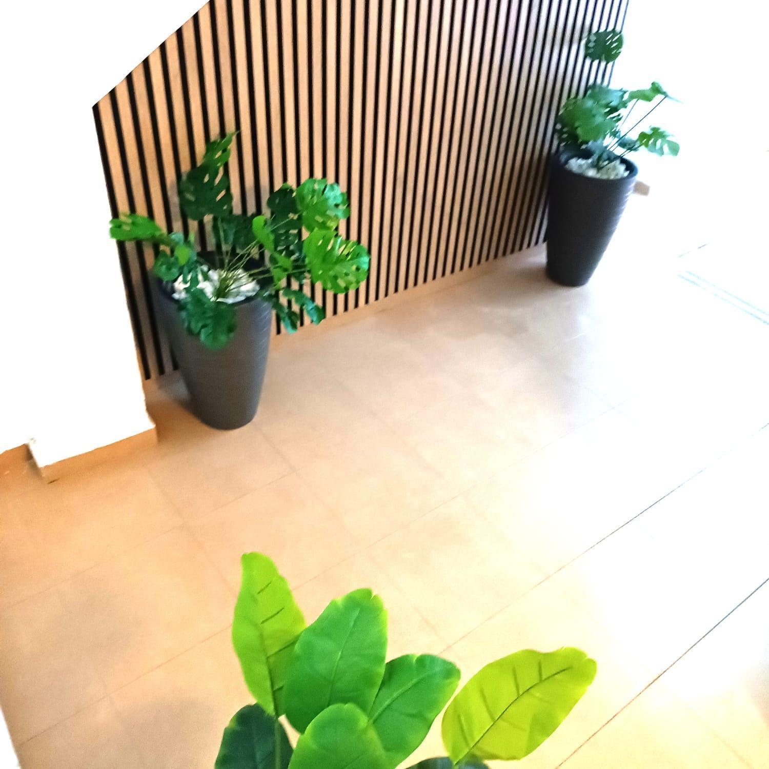 Larios Apartamento Málaga