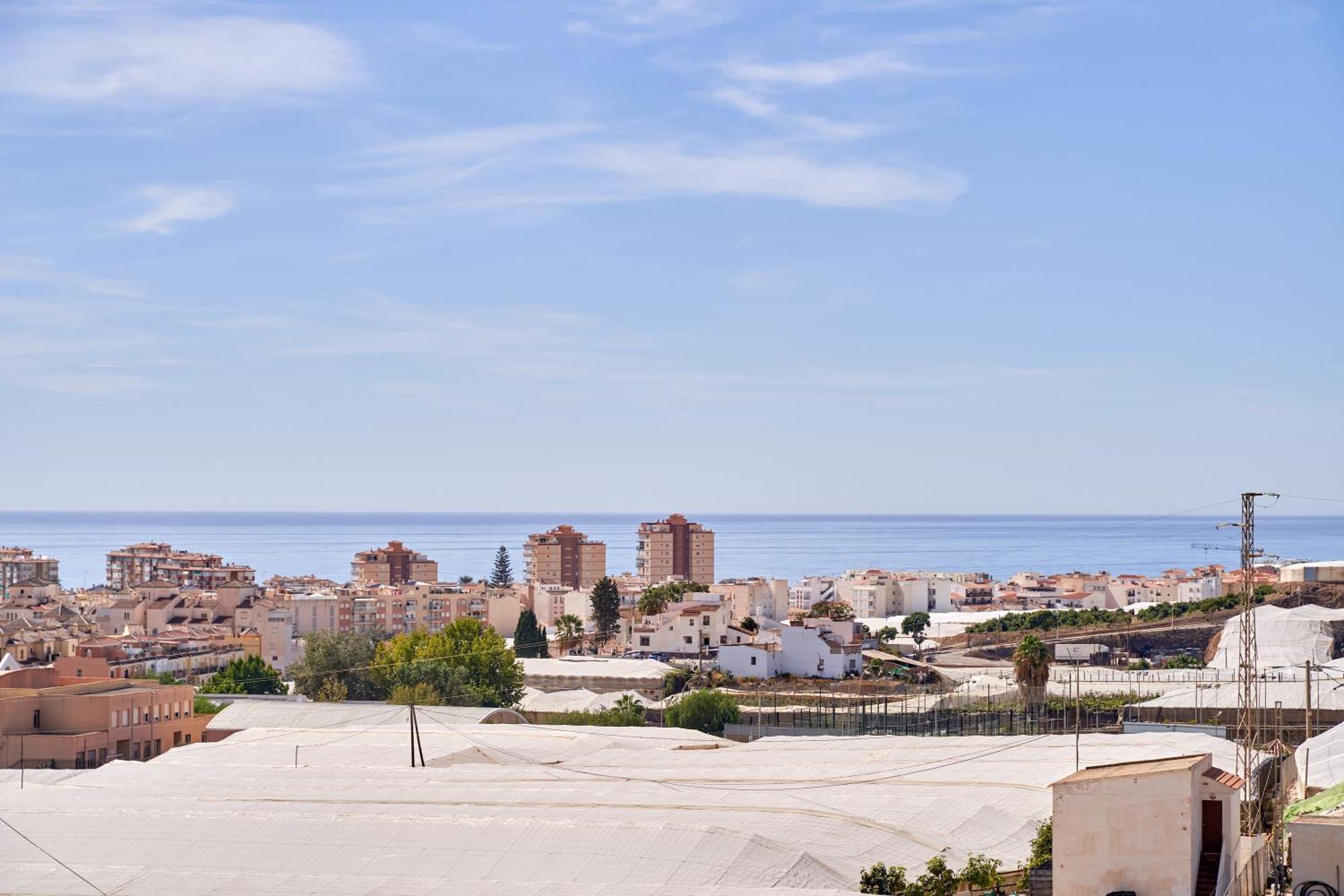 Tara Blanca * Málaga