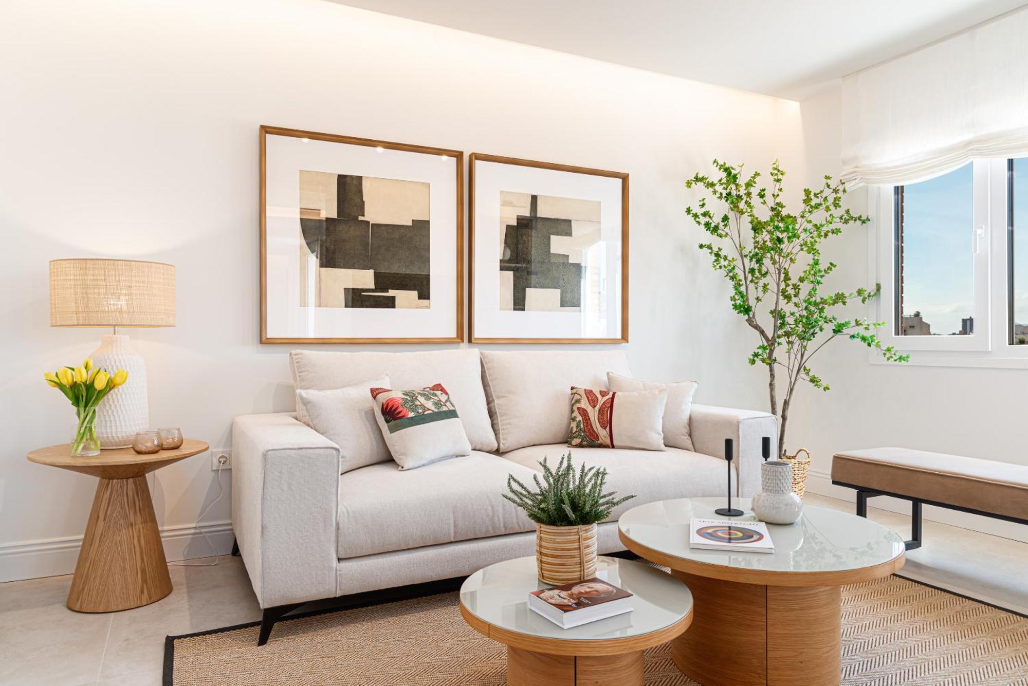 Apartamento Iloftmalaga Tejon Y Rodriguez *
