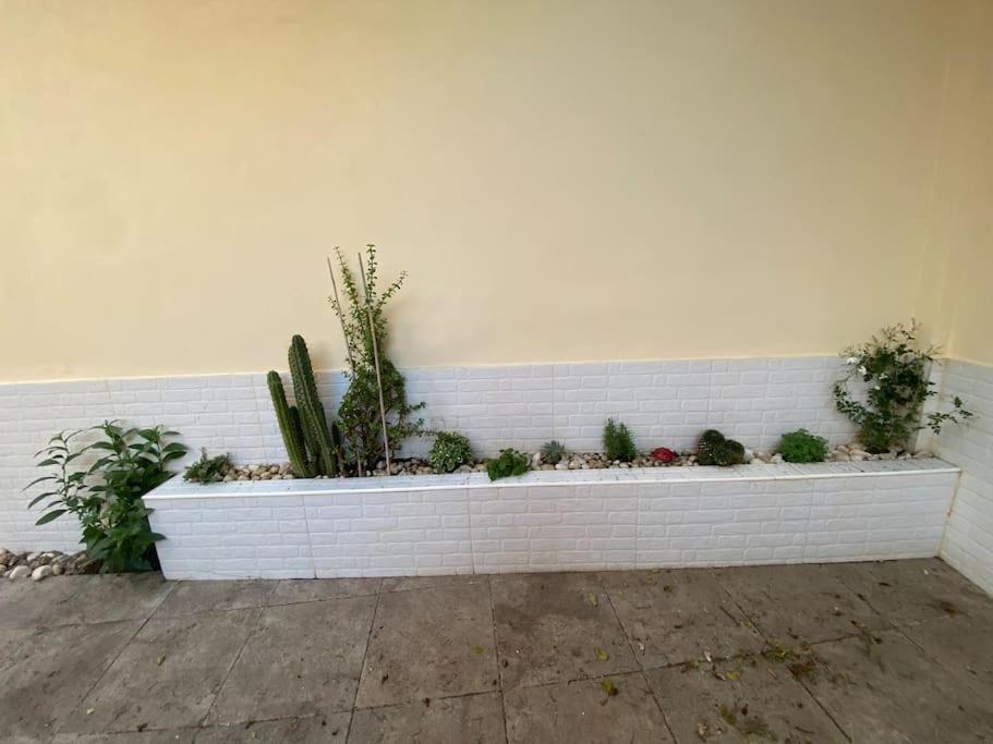 Apartamento Sacha *