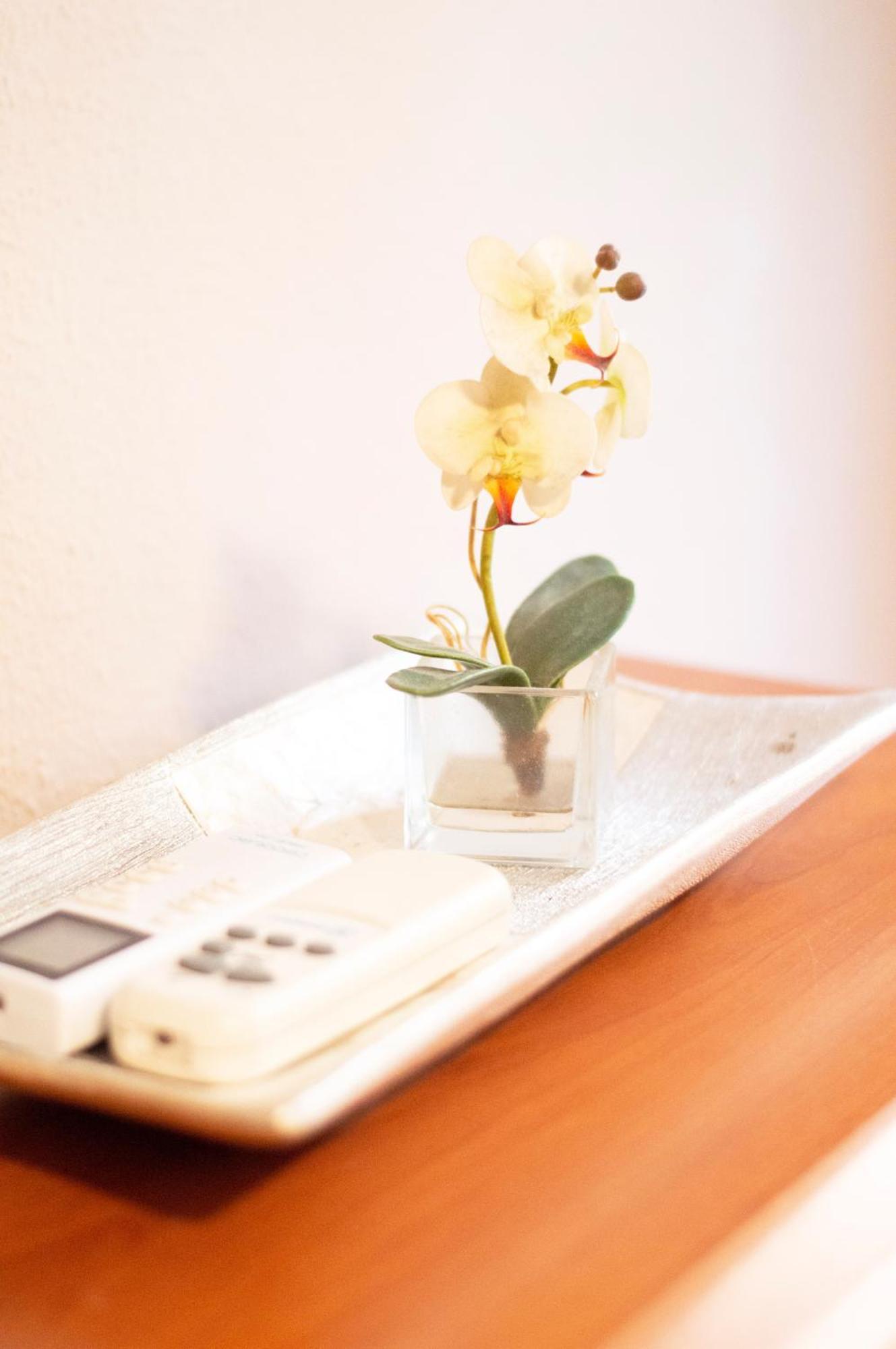 Apartamento Casa Con Gran Patio Privado *