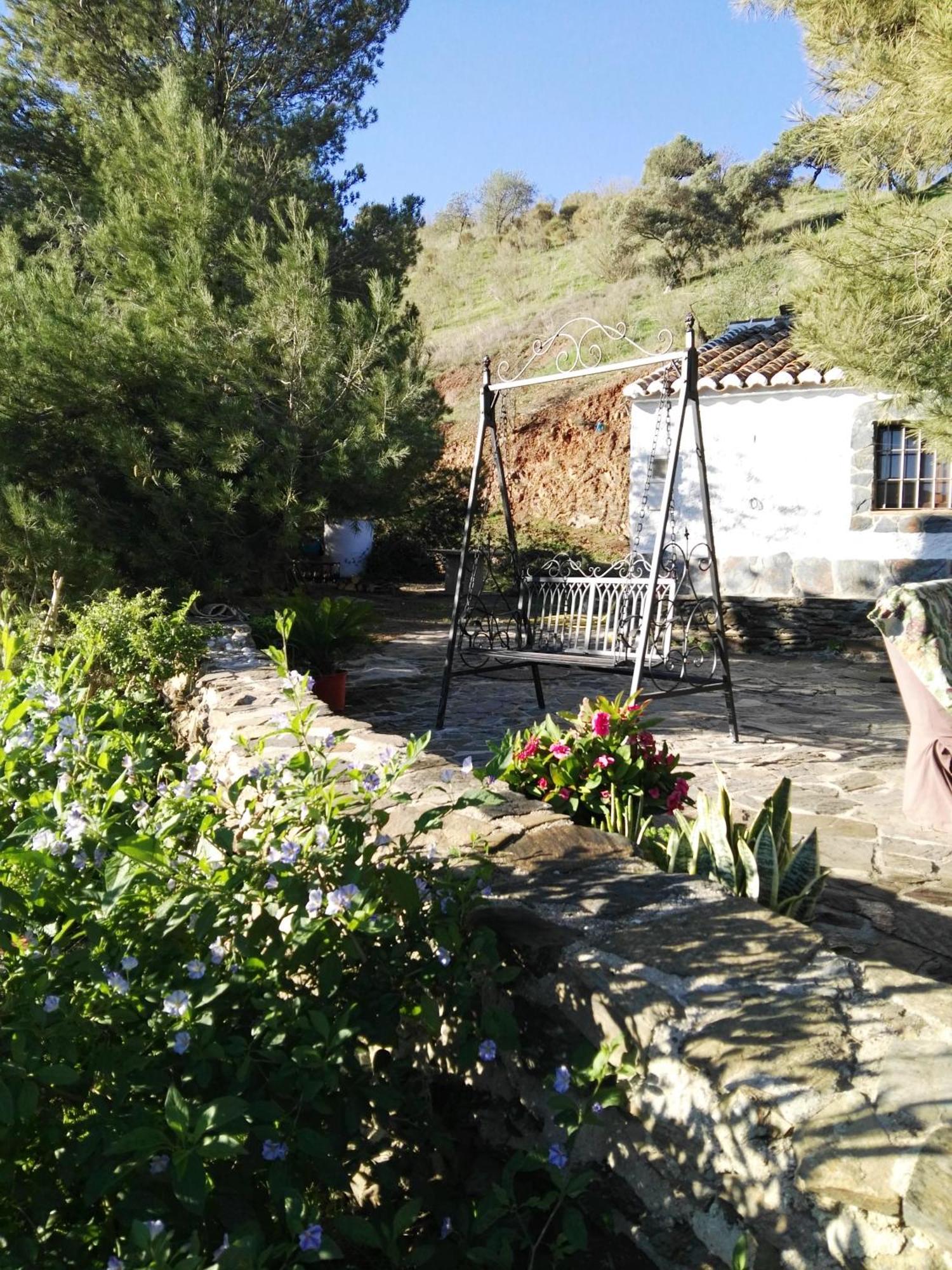 Pinar El Almendra * Málaga
