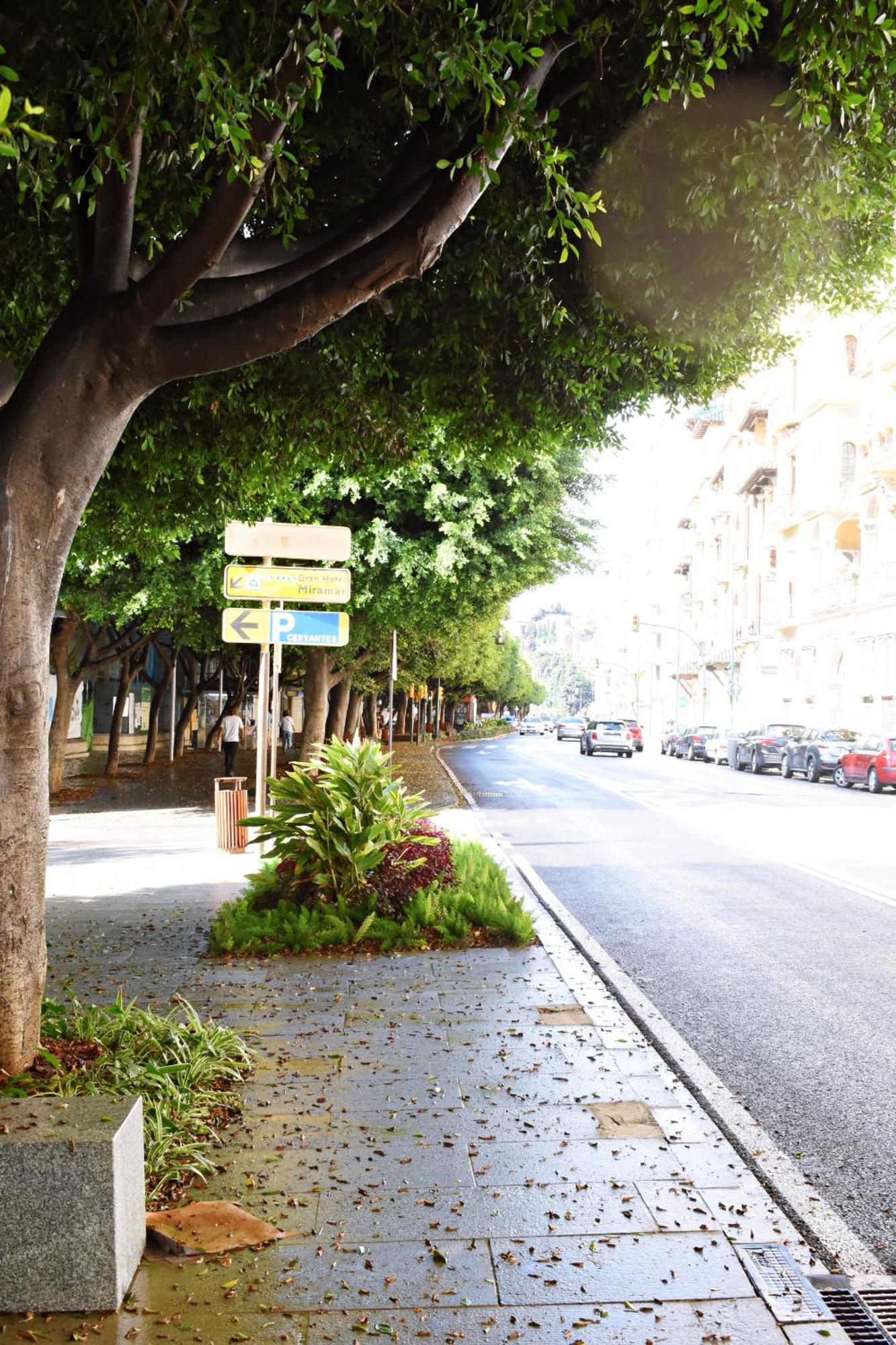 Malagueta's Cozy With Parking And Swimming Pool Apartment Malaga
