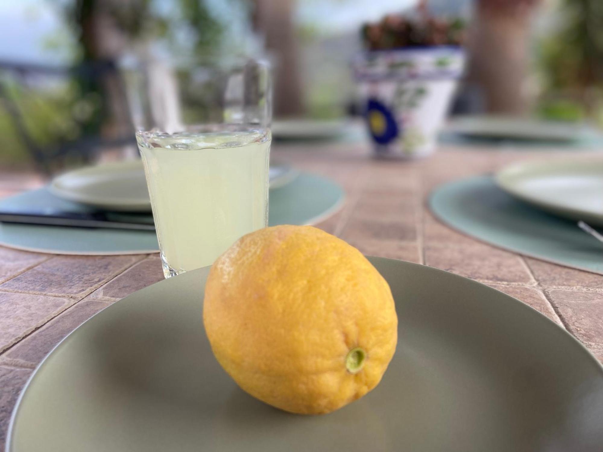 Casa Citron Сasa de vacaciones Málaga