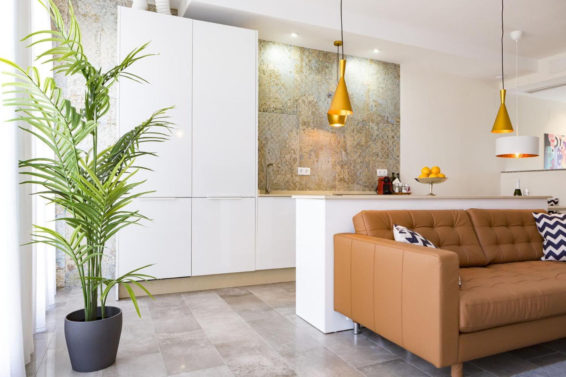 Chinchilla In By Solaga Homes
