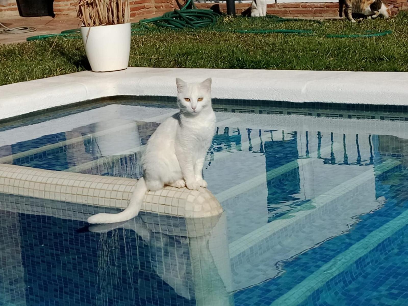 Holiday home Paraje El Pozo
