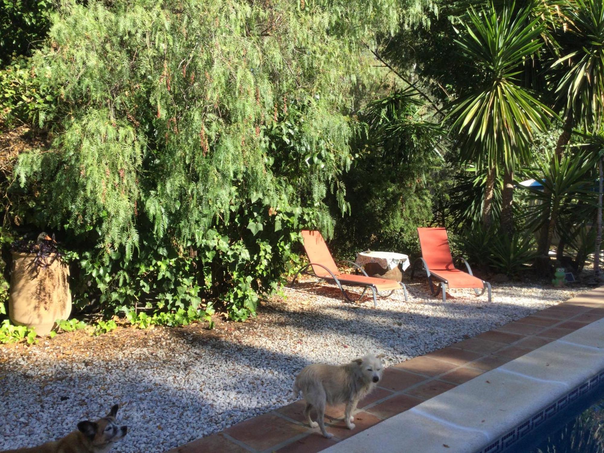 El Rio, 2 Self Catering With Pool And Hydrotherapy Jacuzzi. Apartamento Málaga