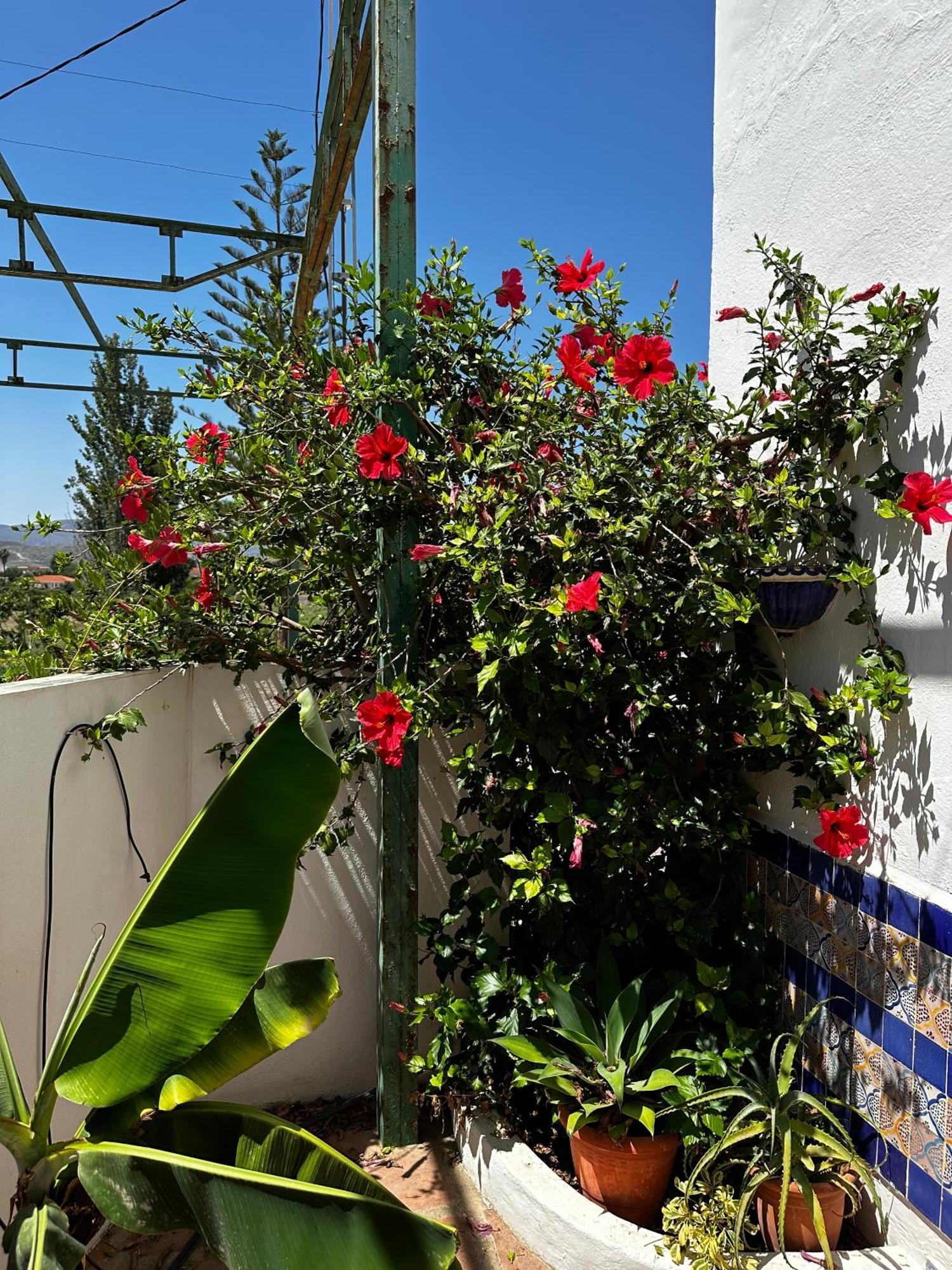 Complejo Rural Lo Arrabal Holiday home *