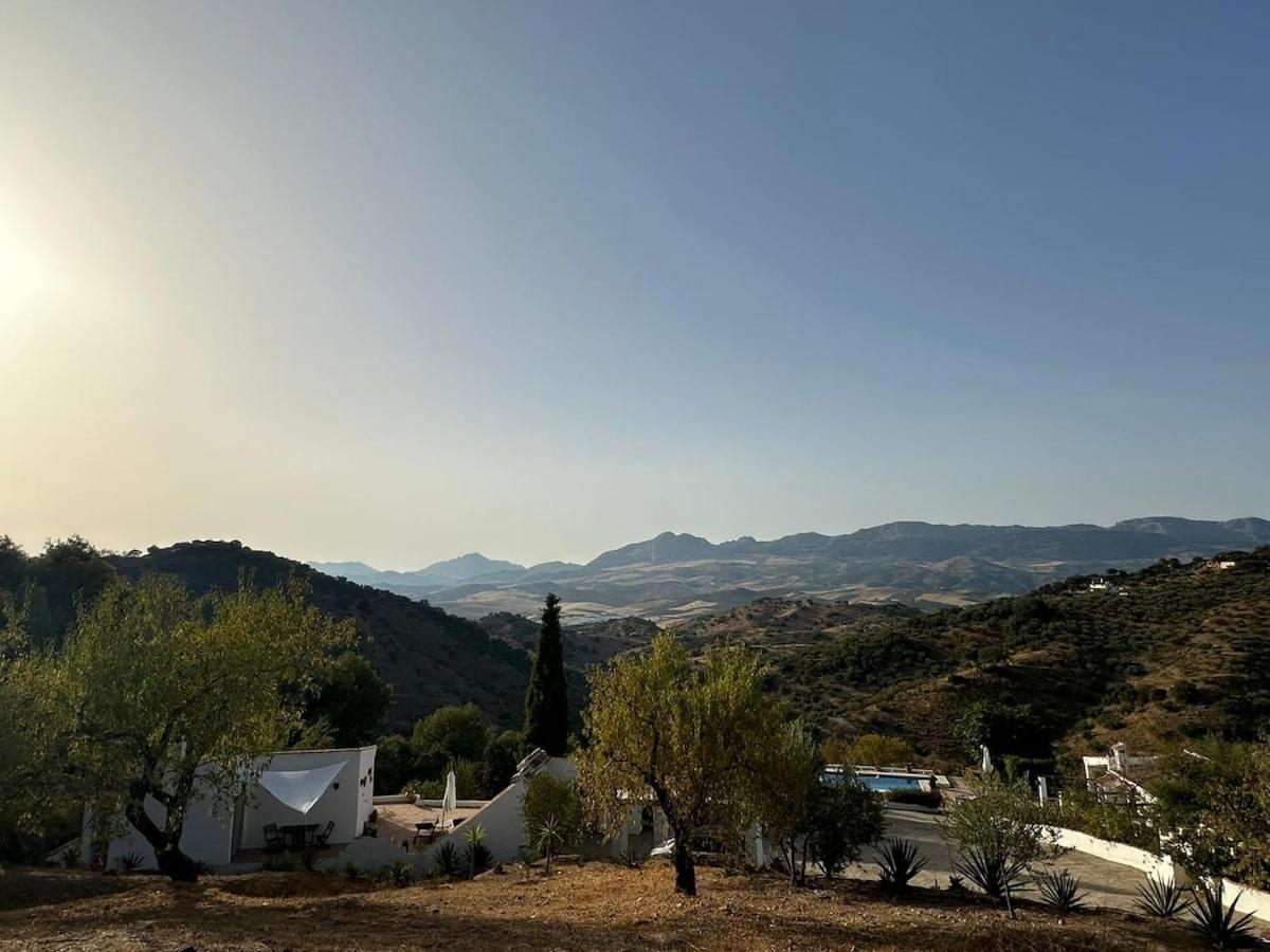 Andalusian La Cuadra * Málaga
