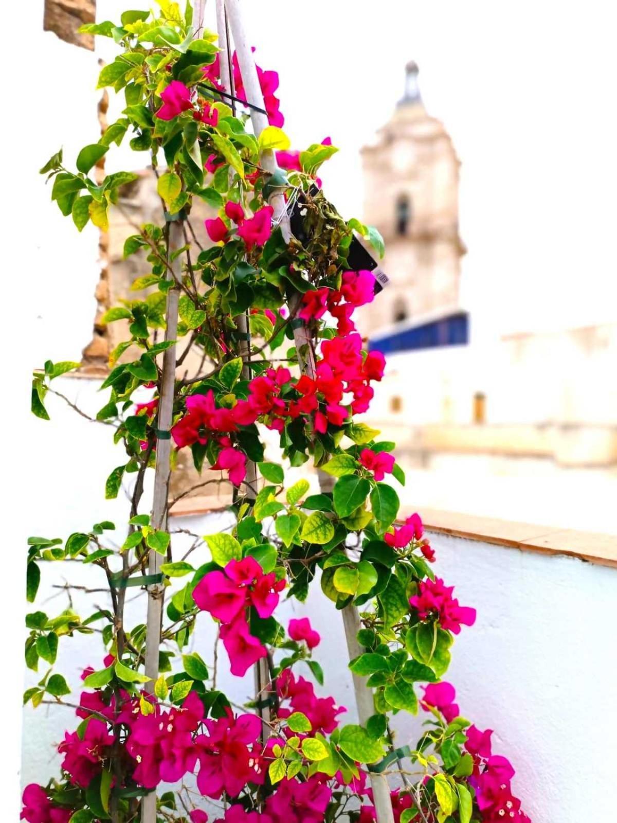 Apartamento Larios Málaga