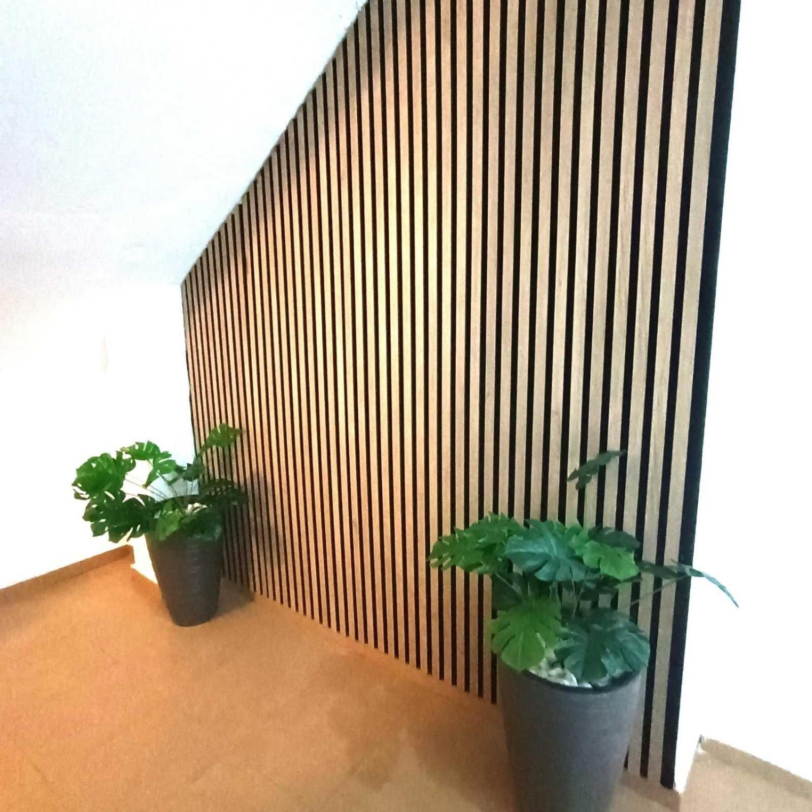 Apartamento Larios *