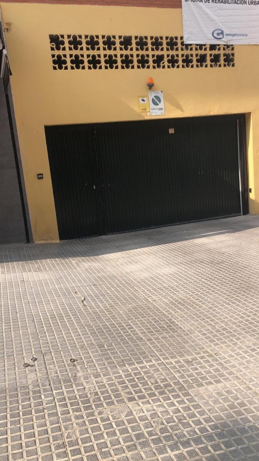 Living Malagueta With Parking Free Apartamento