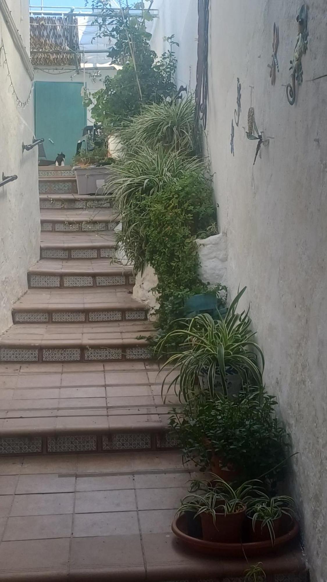 Homestay Ascent At Alora *
