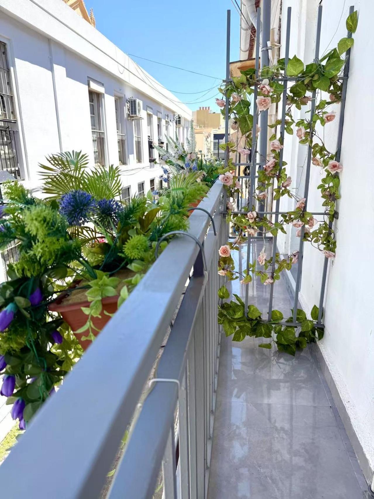 Jara Centro Apartamento Málaga