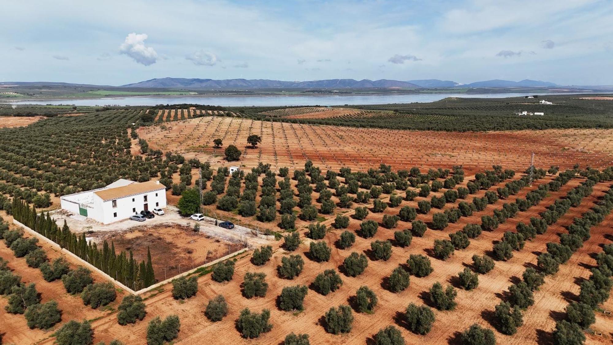 Holiday home Cortijo La Torquilla Laguna Fuente De Piedra