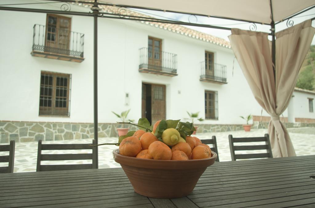 Rural Montes Málaga: Cortijo La Palma Сasa de vacaciones Málaga