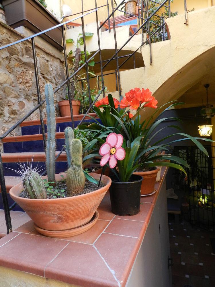 Guest house Alicia 5*