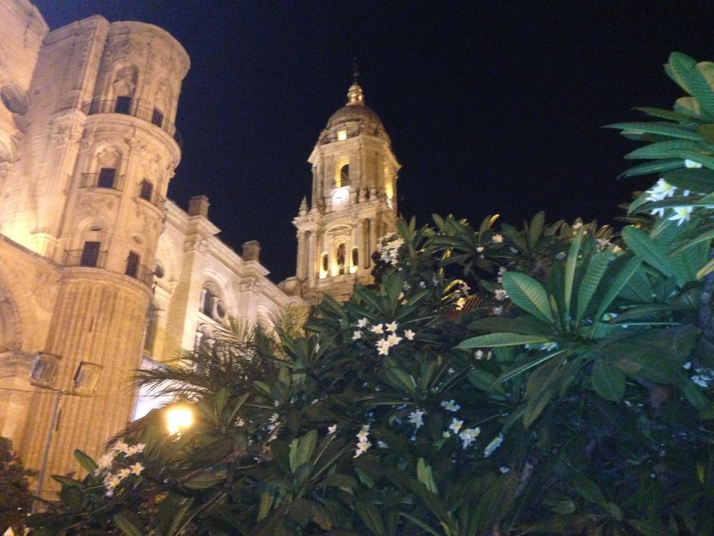 Atico Cister Frente A Catedral Málaga