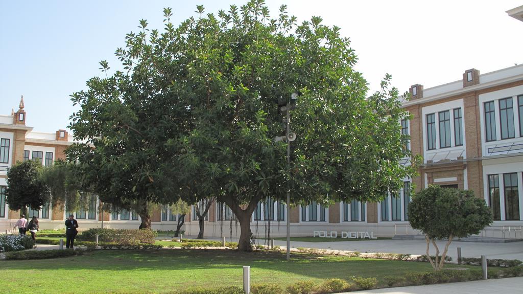 Amadeo Vives 3 Apartamento Málaga
