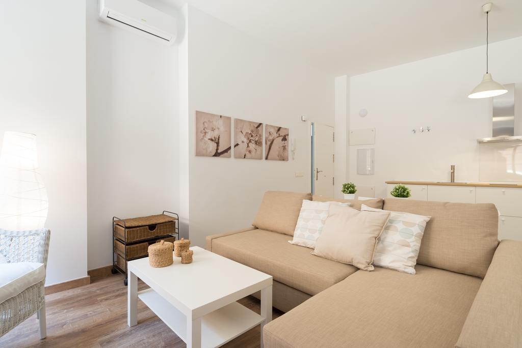 Santiago Premium Loft Apartamento Málaga