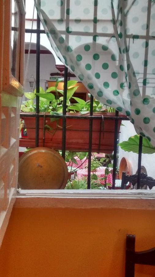 Bed and breakfast Patio 19