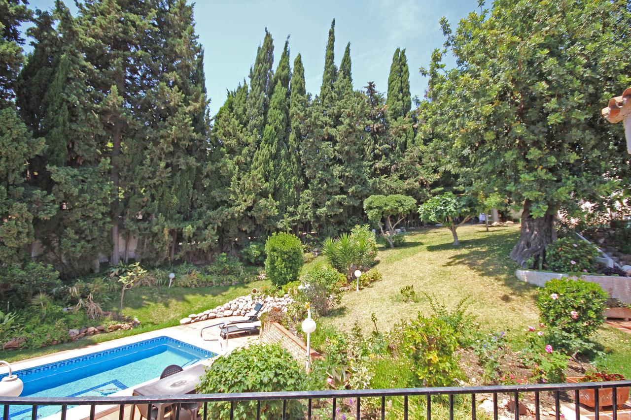 Camaleon Grupalmalaga * Málaga