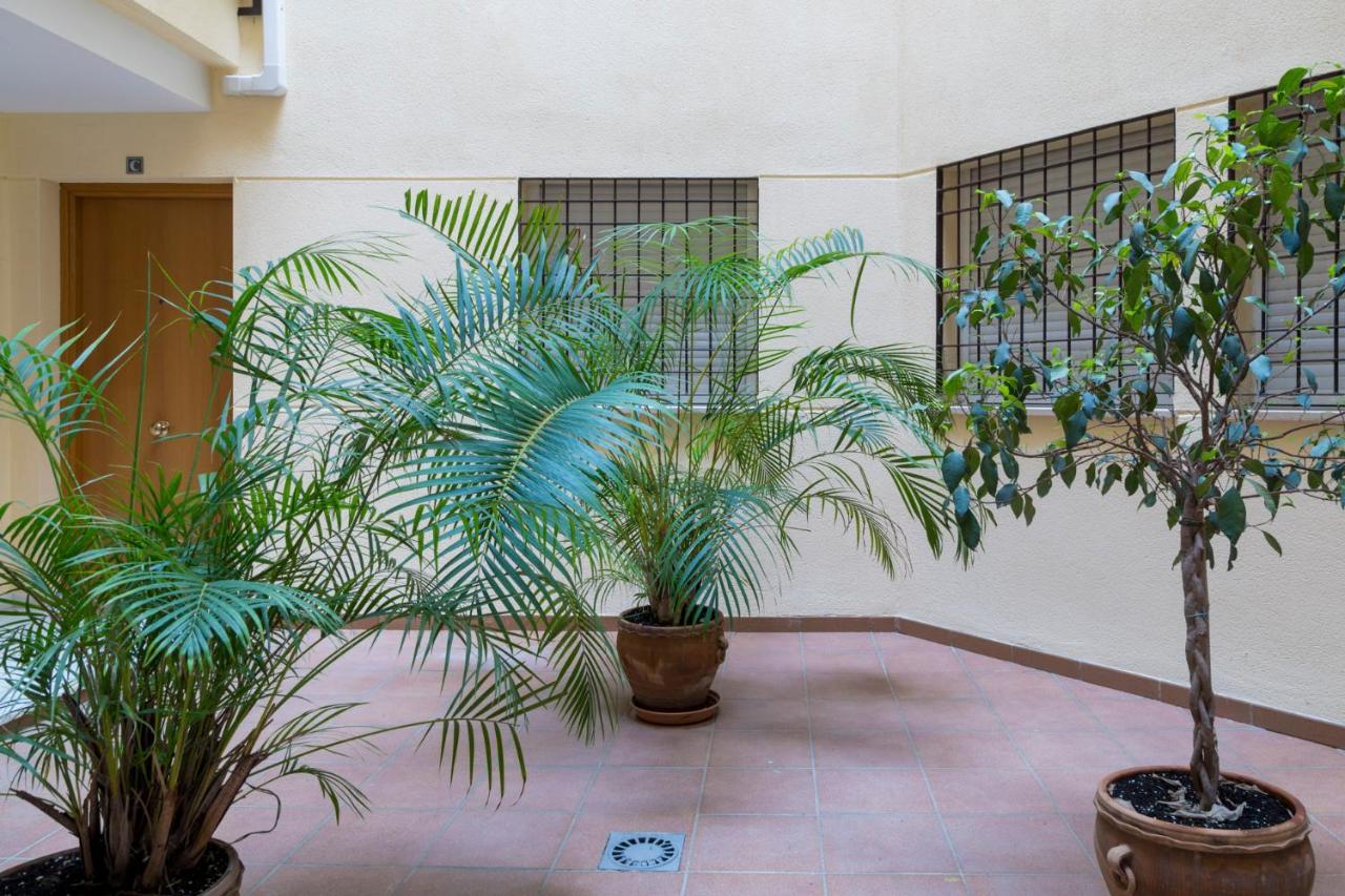 Suncity Peña Málaga