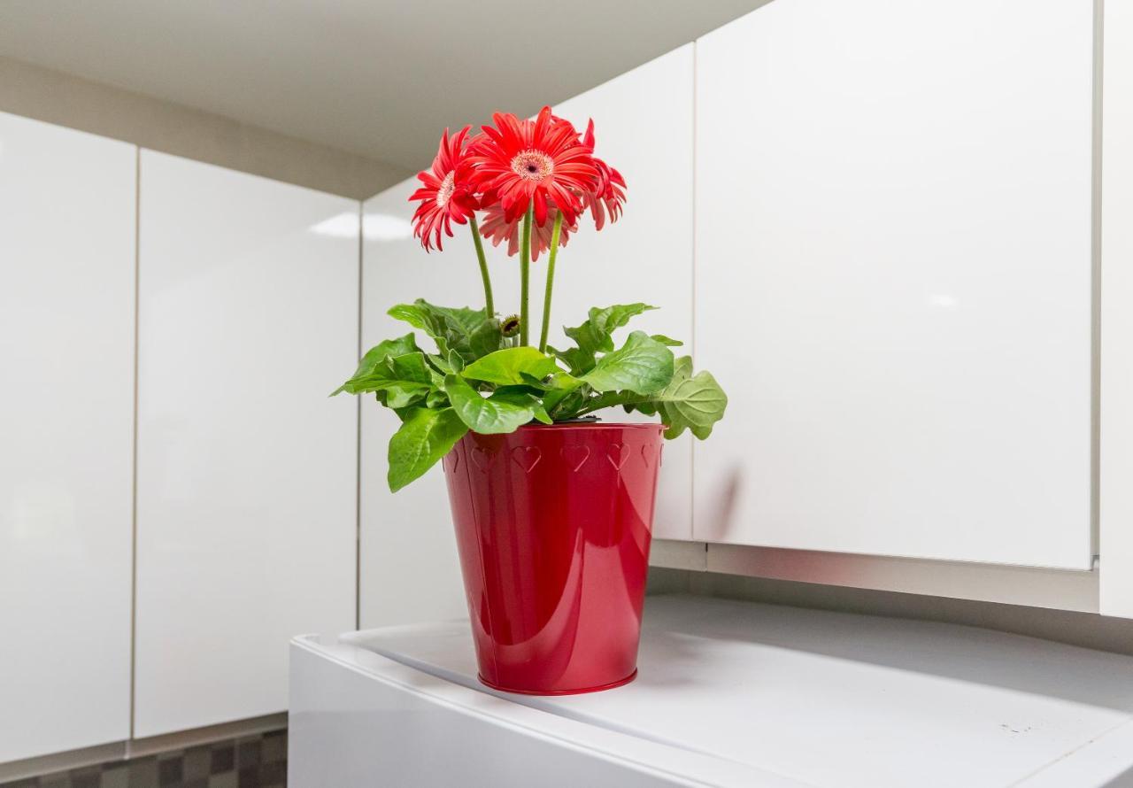 Olletas Studio Apartamento *