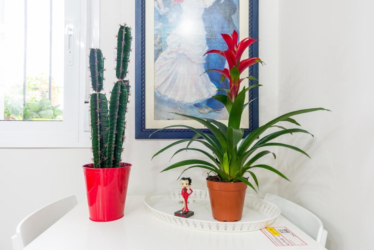 Olletas Studio Málaga