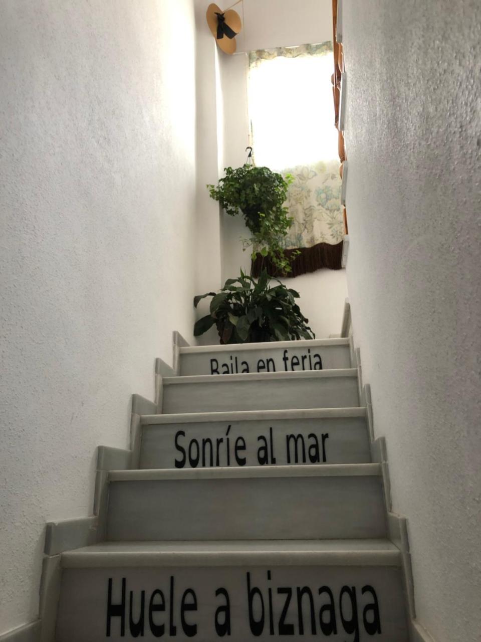 Habitación En Calle Molino