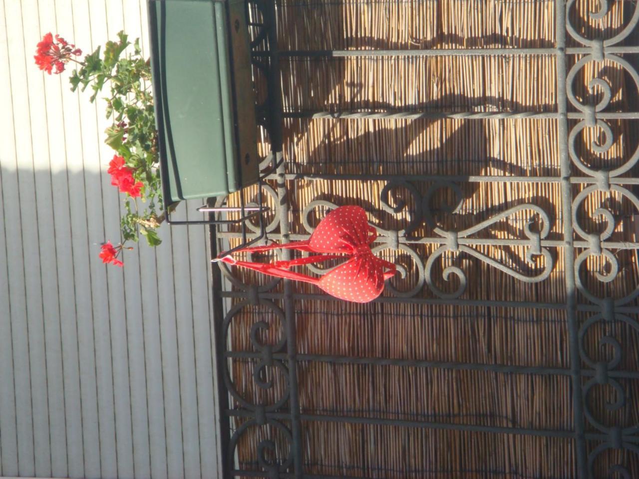 Hostal Casa Babylon Backpakers *