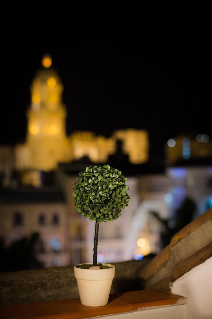 Holidays2malaga Constitucion High Speed Wifi * Malaga
