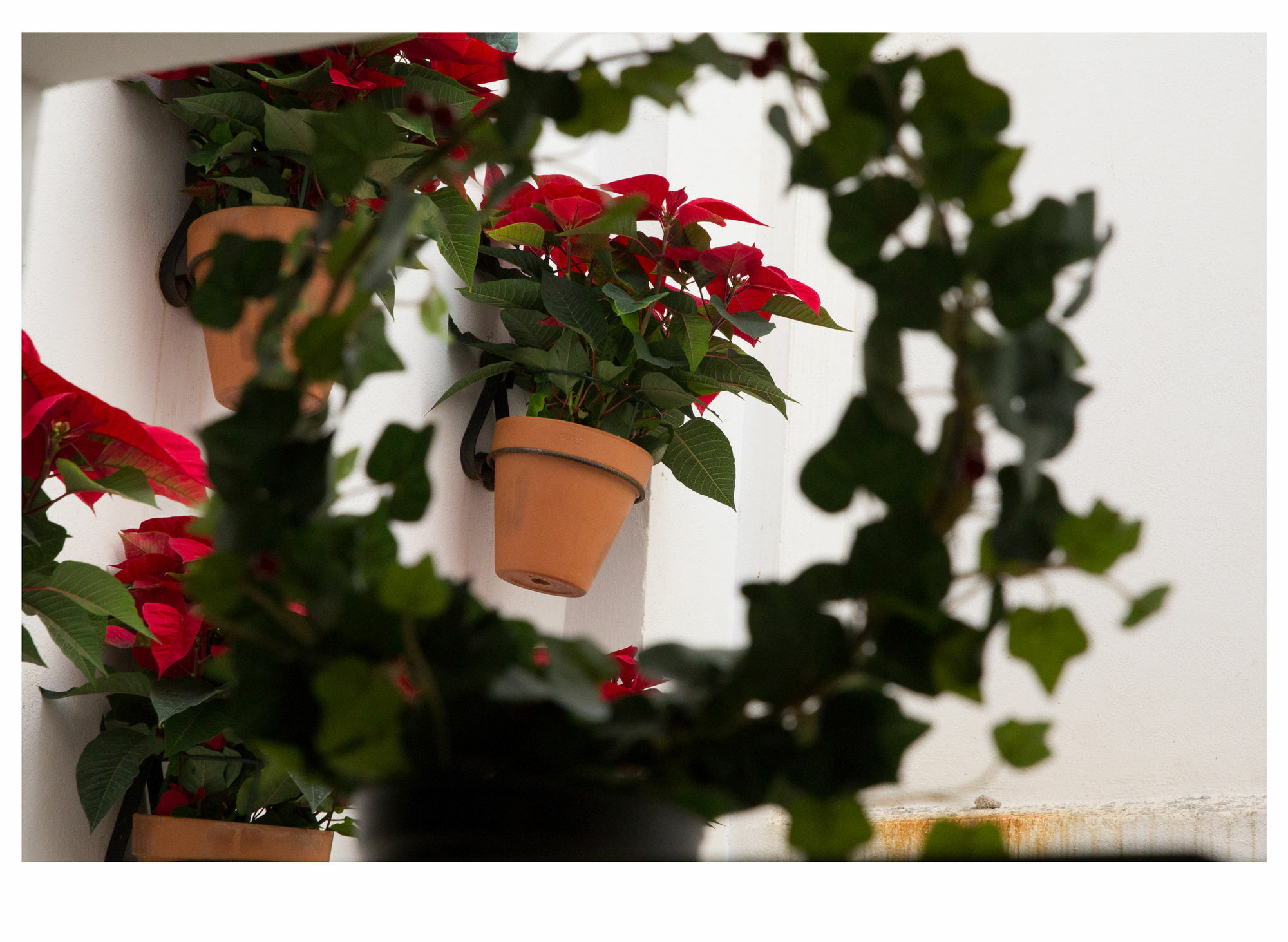 La Casita De Hinestrosa Apartamento Málaga